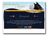 American Akitas Monte Rosa