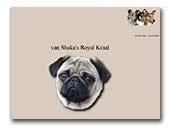 van Shaka's Royal Kraal Kennel