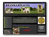 Reinkarnacja