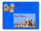 Kennel Moskowskaja Oblast