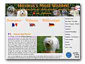 Most Wanted Kennel