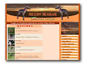 Eillen Skarak Italian Greyhound
