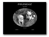 Chinese Crested Dogs Kennel Mundiz