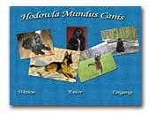 English Cocker Spaniels Kennel Mundus Canis