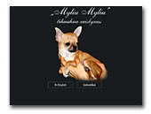  Myliu Myliu chihuahua kennel