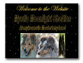 Mysticmoonlight Shetland Sheepdog kennel