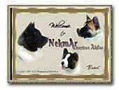 American Akitas Nekmar Kennel