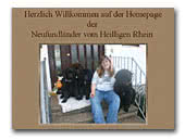 Newfoundlands vom Heilligen Rhein