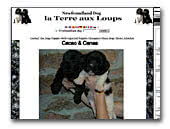 La Terre aux Loups Newfoundland dog