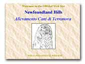 Kennel Newfoundland Hills
