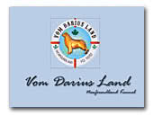 Vom Darius Land Newfoundlands kennel