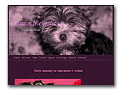 Yorkshire Terriers Mazas Niekselis