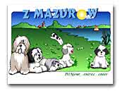 Nizinny z Mazurow