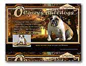 O'Casey's Kennels