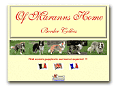 Kennel Of Maranns Home