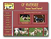 Of Riverside Basset Hound