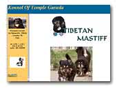 of Temple Garuda Tibetan Mastiffs Kennel