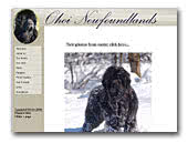 Ohoi Newfoundlands