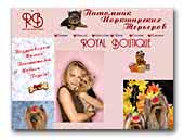 Royal Boutique Yorkshire Terrier