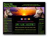 Peruvian Hairless Dogs de l'Orchidée de Lune