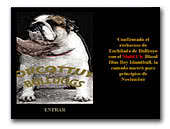 Orcottuy Bulldogs