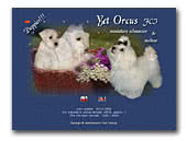 Yet Orcus  FCI
