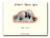 Paber's Lhasa Apso