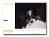 Petitchien Papillons