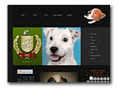 Parson Russell Terriers Kennel Beleriad