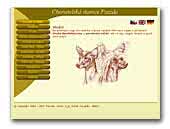 Chinese Crested Dogs Pazzda Kennel