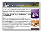 Peakbull Bullmastiffs