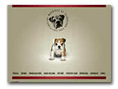 Ancient Warriors of Pendragon English Bulldogs