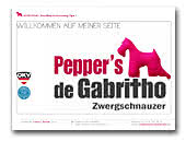 Miniature Schnauzer FCI Kennel Pepper's de Gabritho