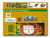 Perdigueiro Portugues em Ovar