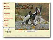 French Bulldogs  Perfect Look Kennel