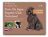 Perro De Agua Español Club Nederland