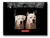 Perro del Chaco Dogo argentino
