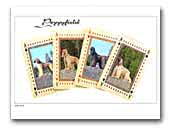 Poppyfield Afghan Hounds Kennel