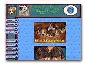 Happy Hunter Kennel