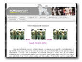 White Dwarf Poodle Powderpuff