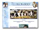 Prokseny Collie Rough