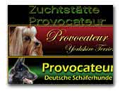 Zuchtstätte Provocateur