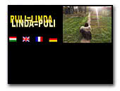 Puli Kennel Rábcamenti-Huncut