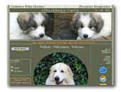 of Reckhem's Castle White Swiss Sheperd and Great Pyrenees