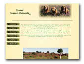 Sussex Spaniel Quarr