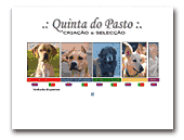 American Staffordshire Terrier Kennel Quinta do Pasto