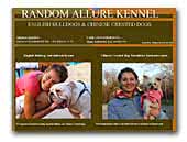 Random Allure Kennel