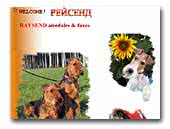 Raysend Kennel