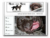 More and More Labrador Retriever