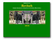 Revloch Kennel 